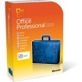 Microsoft Office Professional Plus 2010